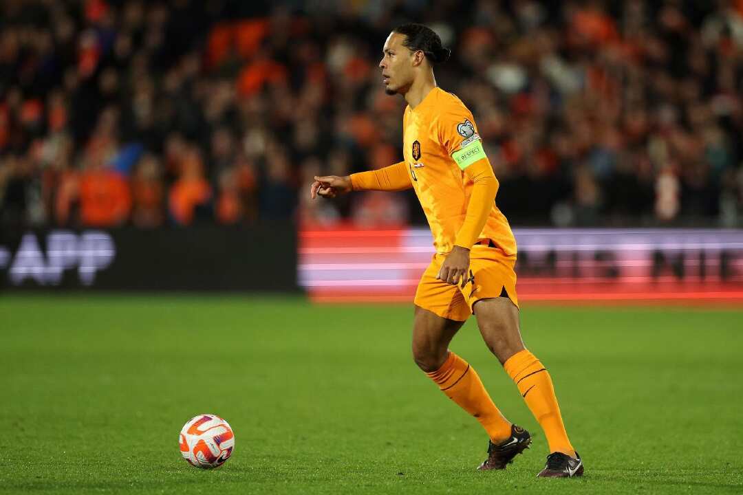 van dijk netherland